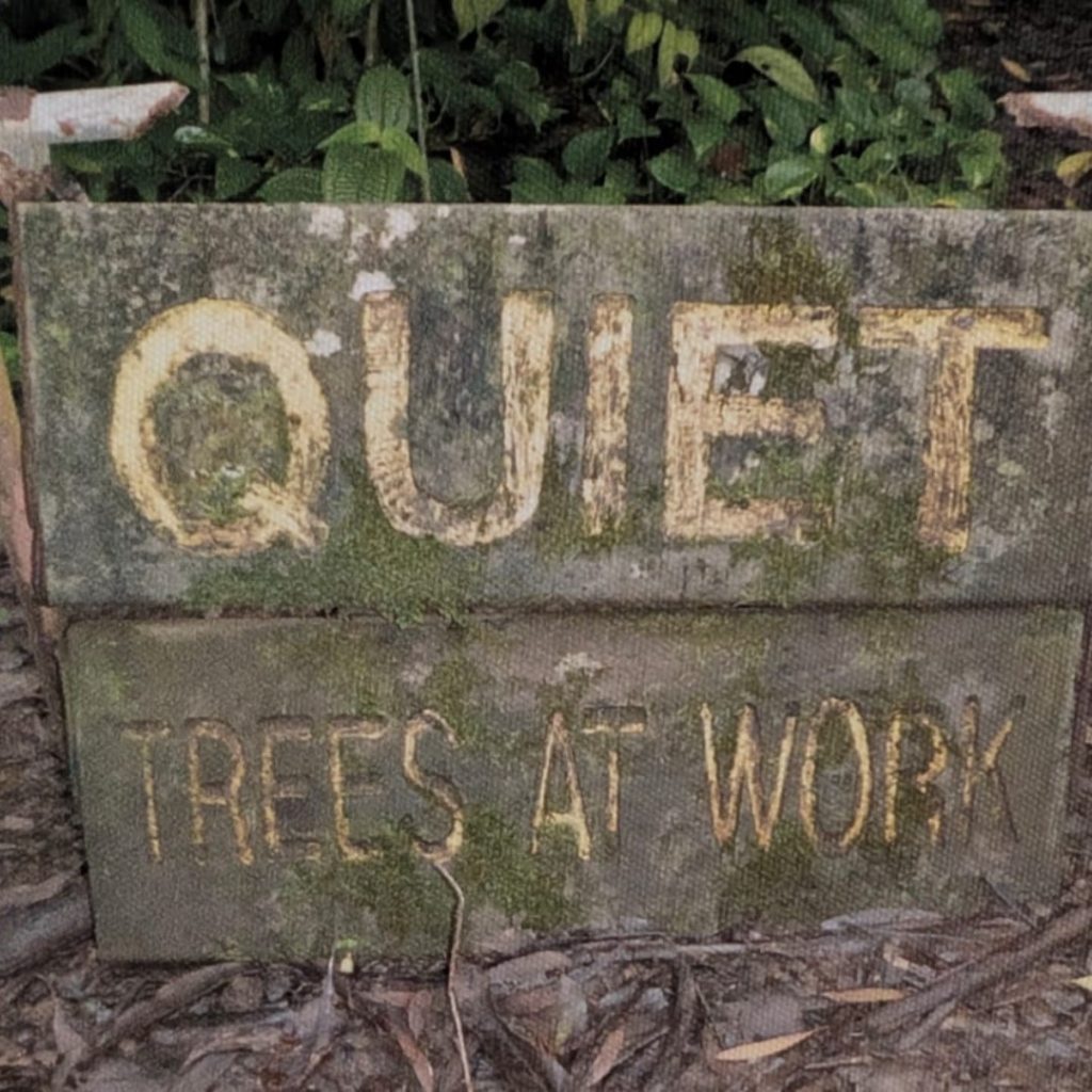 Verwittertes Holzschild mit der Aufschrift Quiet Trees at Work im Wald von Maui – Symbol für strategische Ruhe und starke Website-Texte von Anne Hofmann.